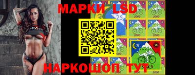 молекула духа Усть-Джегута