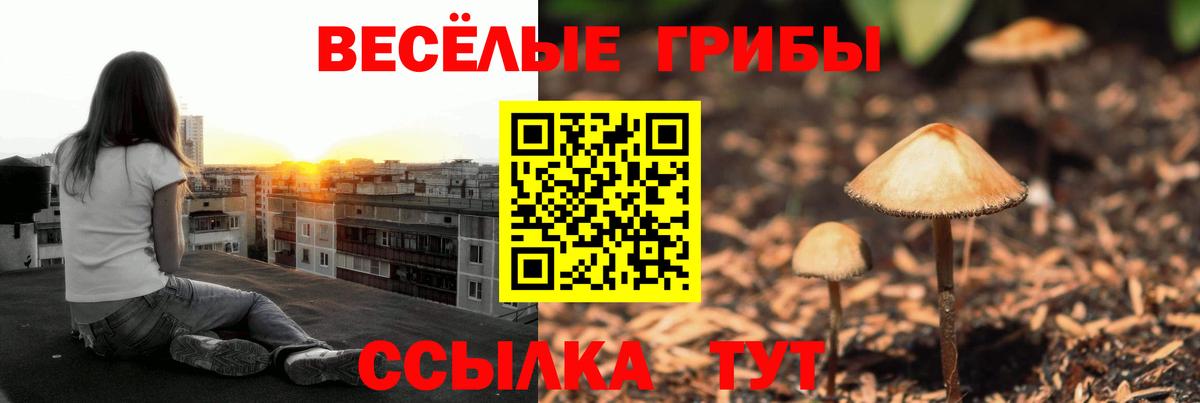 Галлюциногенные грибы прущие грибы Сызрань